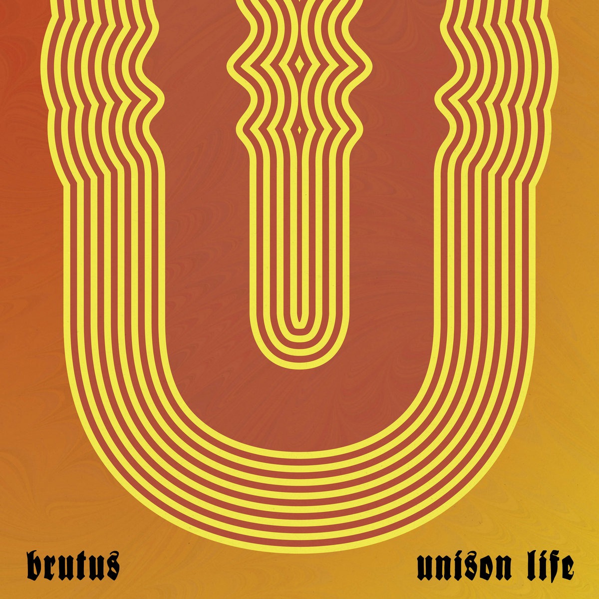 Unison life