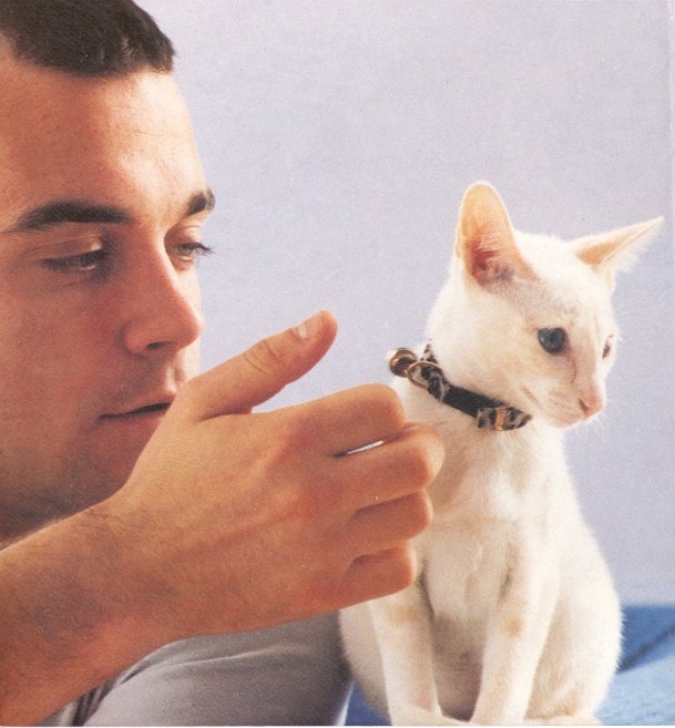 Robbie williams and a  cat by jacky506