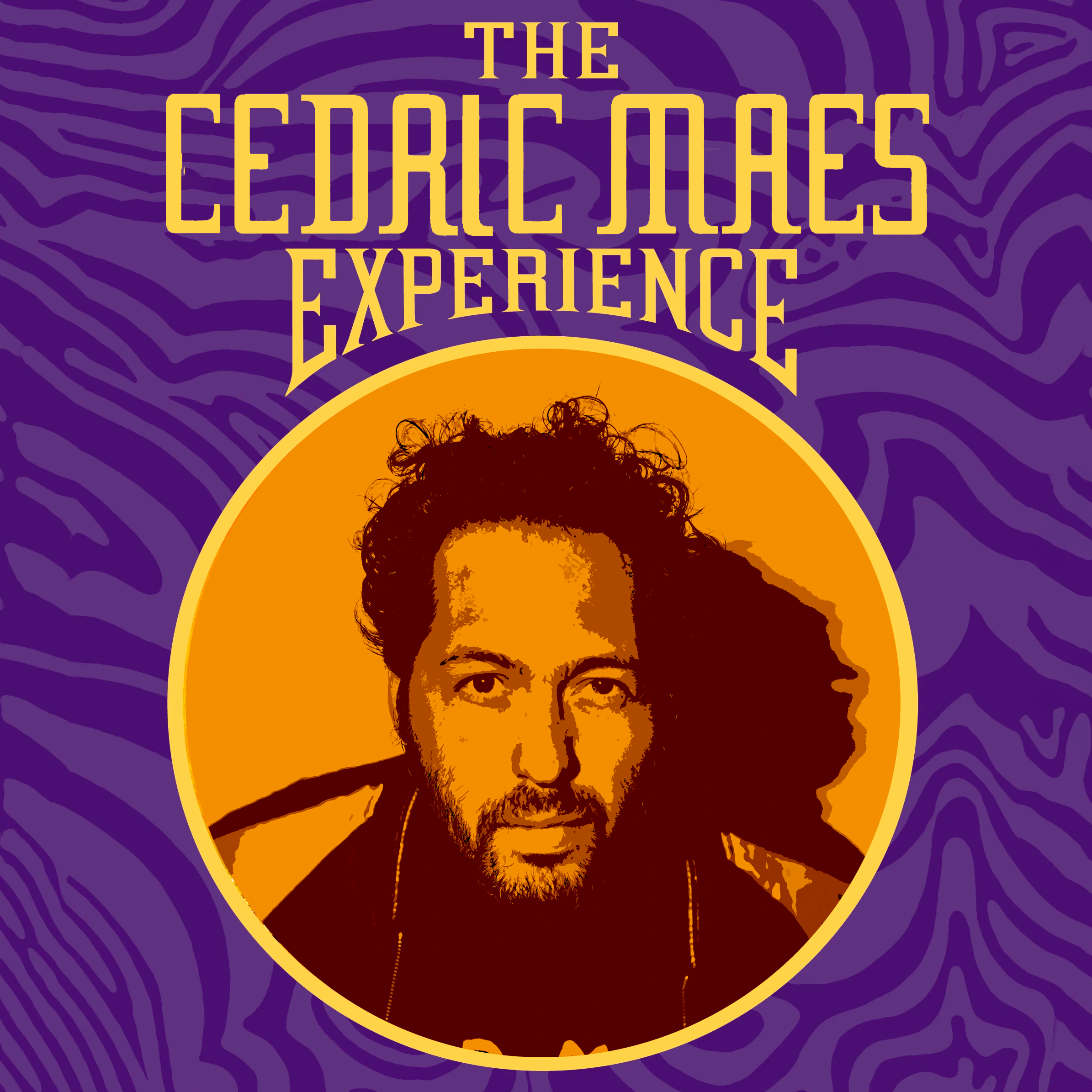 Cedric maes experience