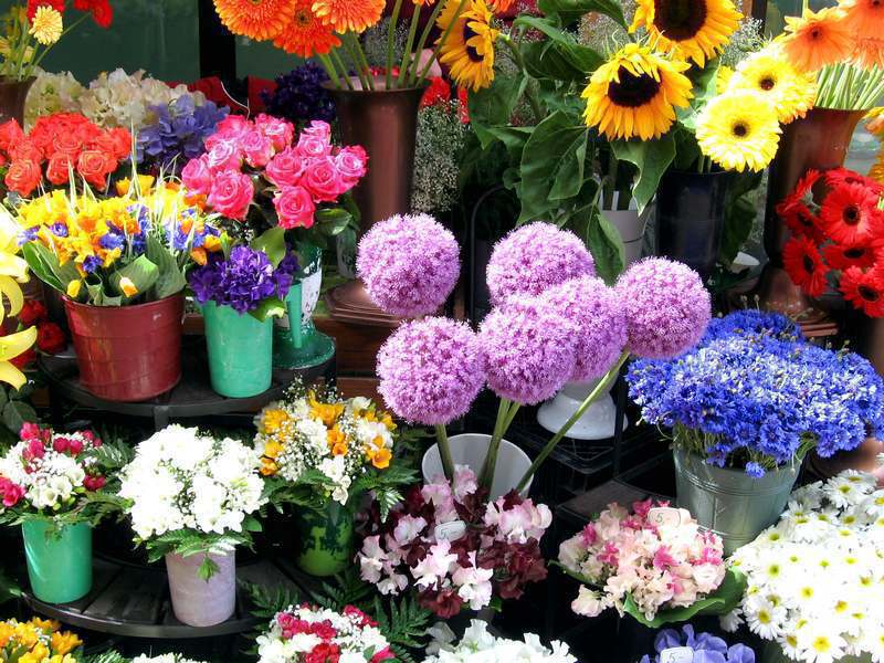 Flower shopping