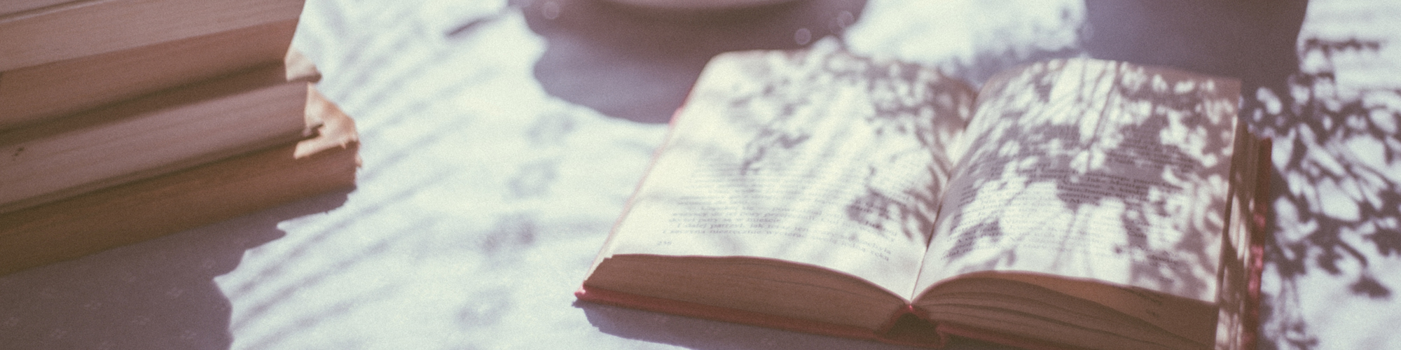 Zondag Leesdag: de boekenkast van Leen Lezen header