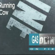 Running cow