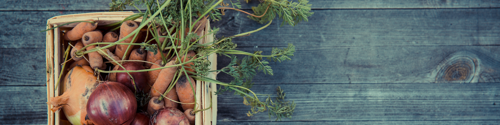 Sandra Bekkari: wintergroenten op hun best! Groenten header