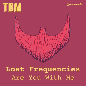 Are you with me lost frequencies